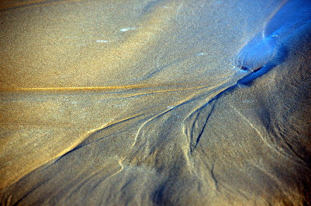 Delta del Ebro_0012.JPG
