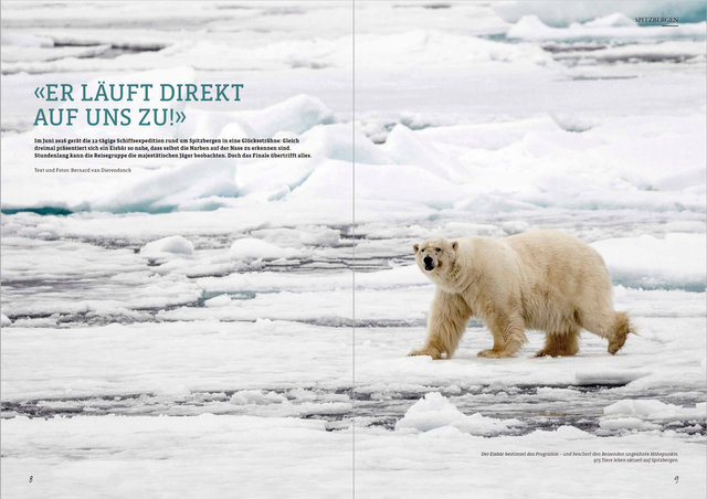 Spitzbergen in Nordland Nr. 12