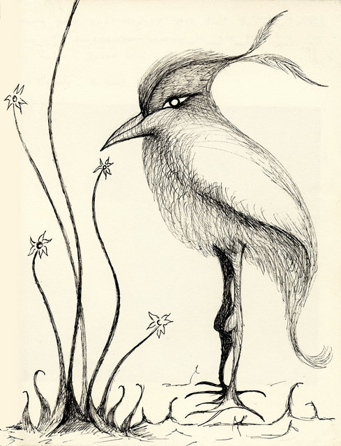 Elegant Bird