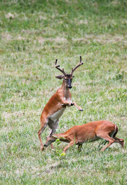_MG_5100worked_Full-sharp.jpg