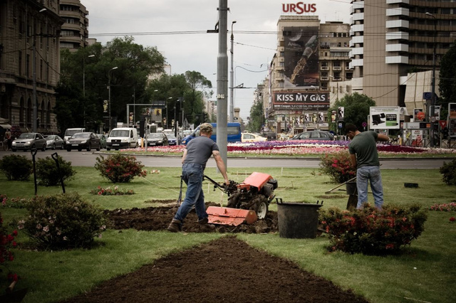 ALM-Bucarest-20100520CL229.JPG