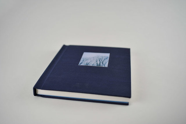 Mnemonics, 2009