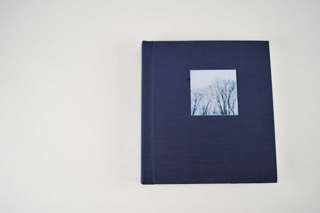 Mnemonics, 2009