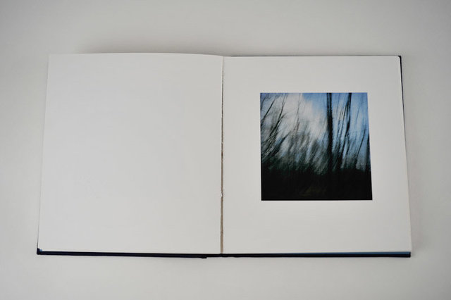 Mnemonics, 2009