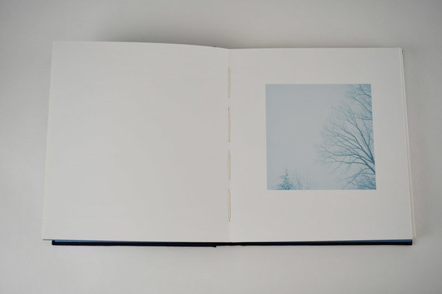 Mnemonics, 2009