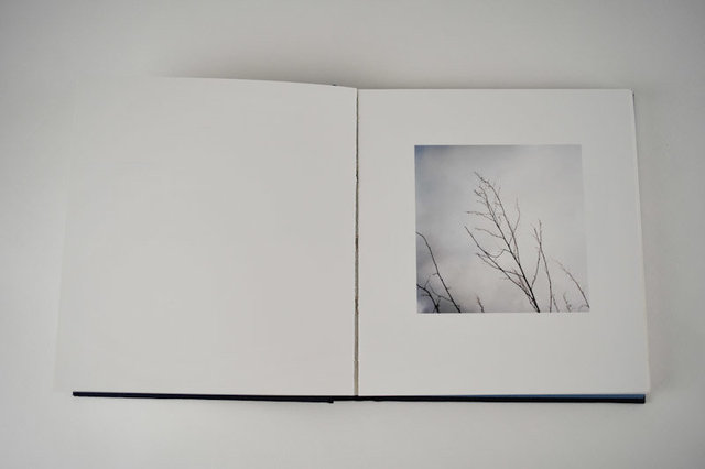 Mnemonics, 2009