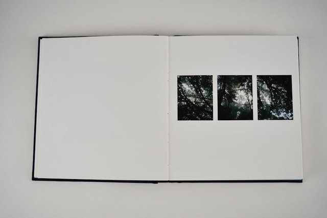 Mnemonics, 2009