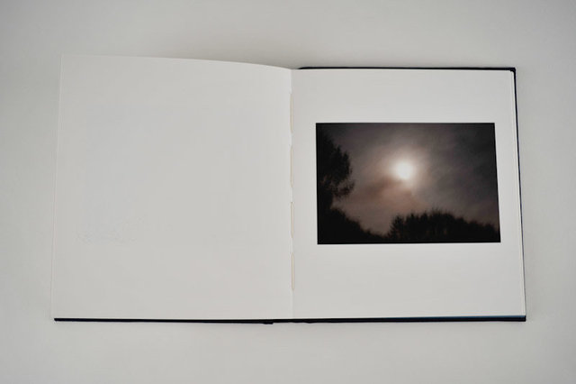 Mnemonics, 2009