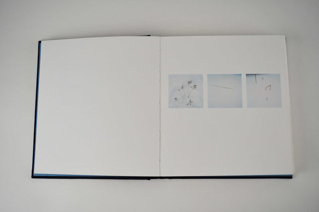 Mnemonics, 2009