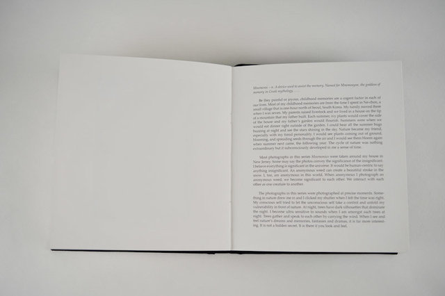 Mnemonics, 2009