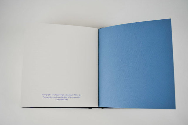 Mnemonics, 2009