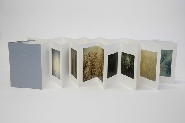 Encounters, 2015