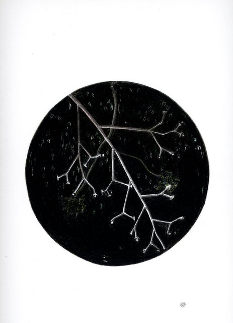 Into the Darkness Nachtstudie 30 23042017 .jpg