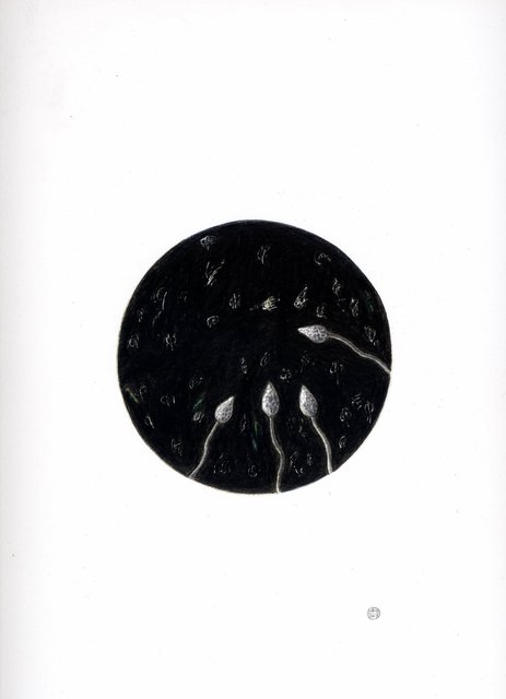 Into the Darkness Nachtstudie 21 08022017.jpg