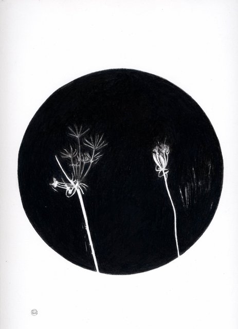 Into the darkness nachtstudie 2 29112016.jpg