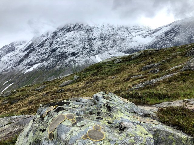 Symbiosis 2 Norway