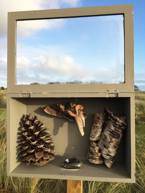Cabinet of natural (Ameland) memories