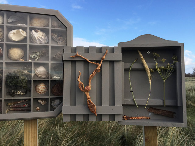 Cabinet of natural (Ameland) memories
