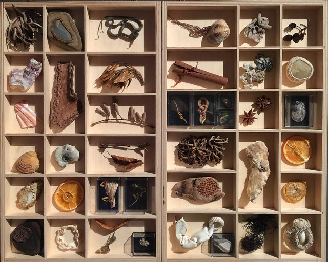 Cabinet of natural memories
