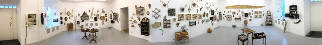 Cabinet of natural memories