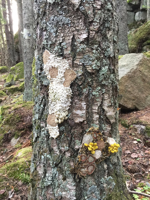 Symbiosis