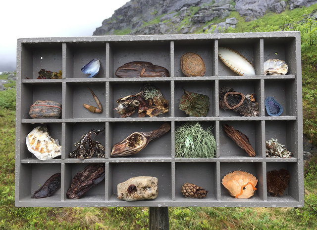 Cabinet of natural (Rauma) memories, 2017