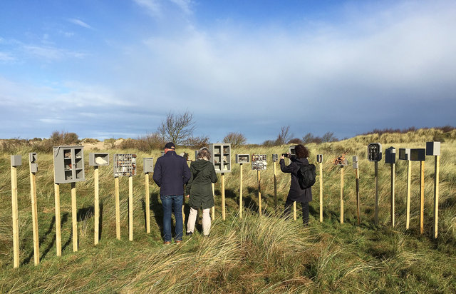 Cabinet of natural (Ameland) memories