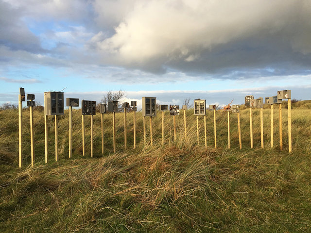 Cabinet of natural (Ameland) memories