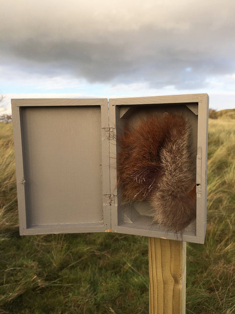 Cabinet of natural (Ameland) memories