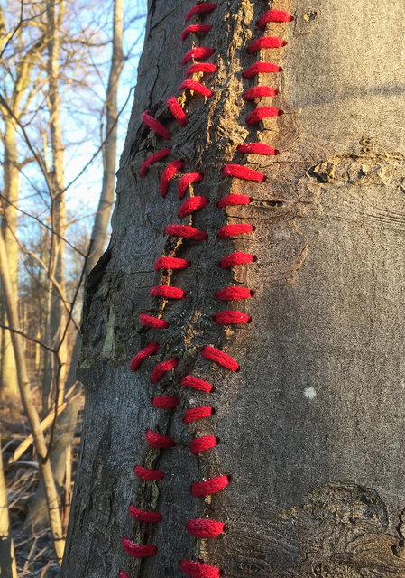 Mended tree, Skoven (DK)