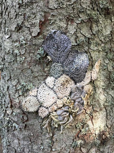 Symbiosis