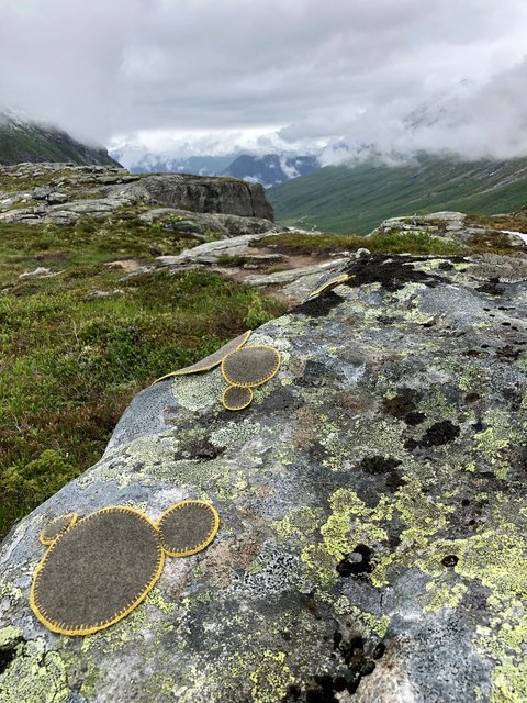 Symbiosis 2 Norway