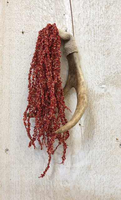 To root