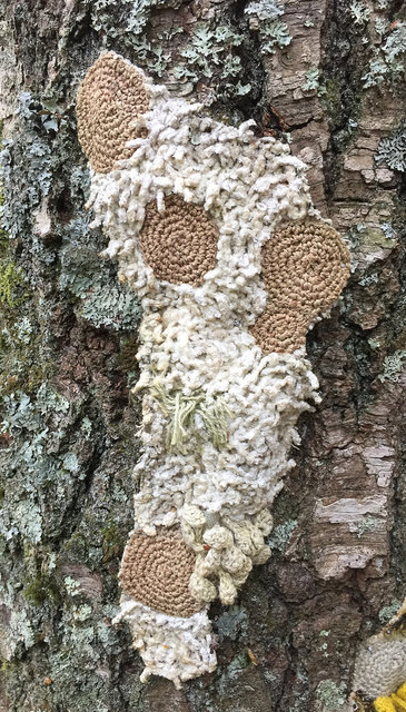 Symbiosis