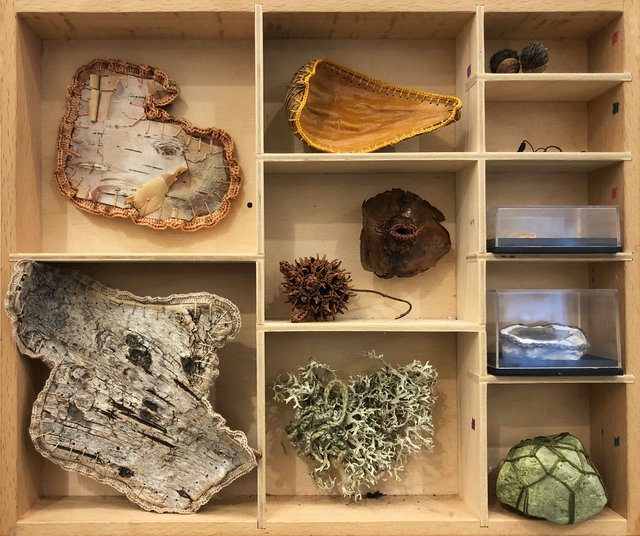 Cabinet of natural memories