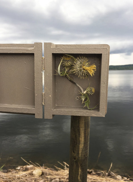 Cabinet of natural (Sjuhäradsrundan) memories