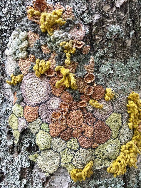 Symbiosis