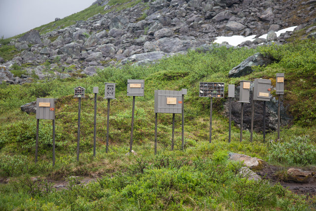Cabinet of natural (Rauma) memories, 2017