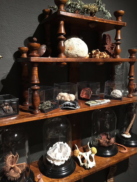 Cabinet of natural memories