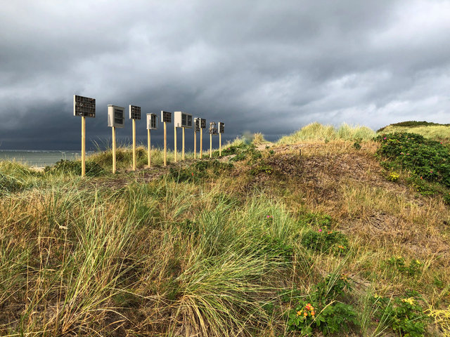 Cabinet of natural (Vadehavet) memories