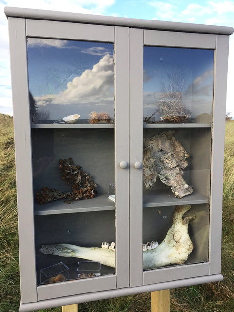 Cabinet of natural (Ameland) memories