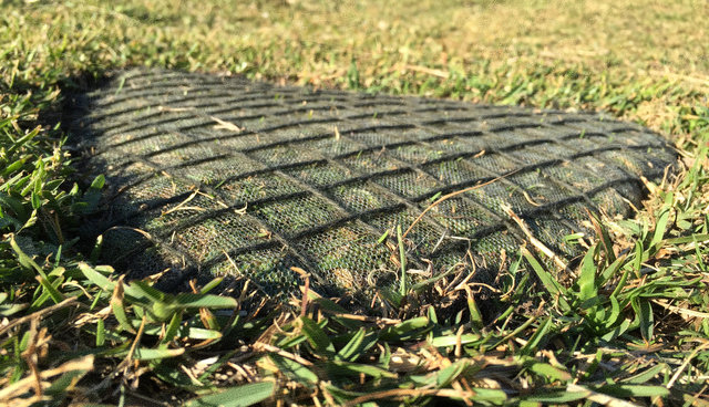 Work for Sculpture by the sea, 2016, Bondi, Sydney, Australia. Yarn, thule fabric and flower staples.