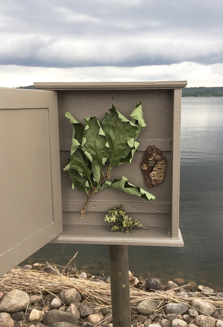 Cabinet of natural (Sjuhäradsrundan) memories