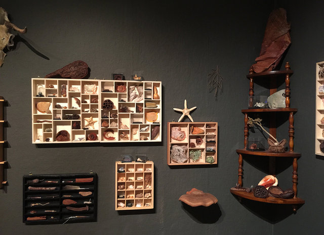 Cabinet of natural memories