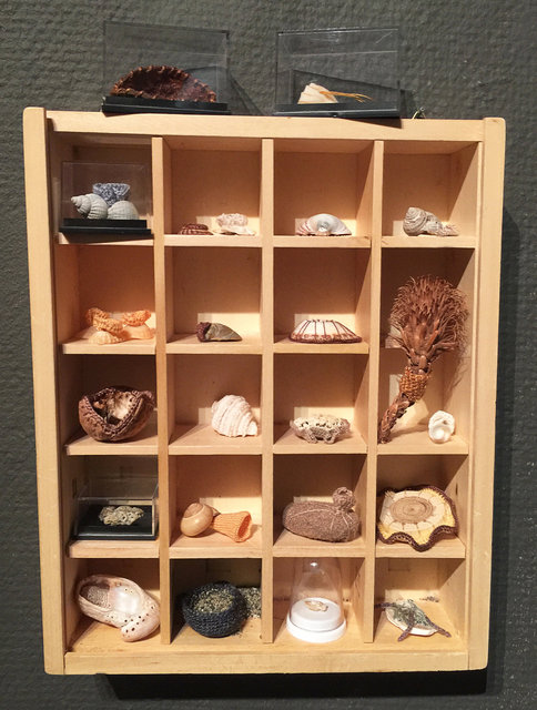 Cabinet of natural memories