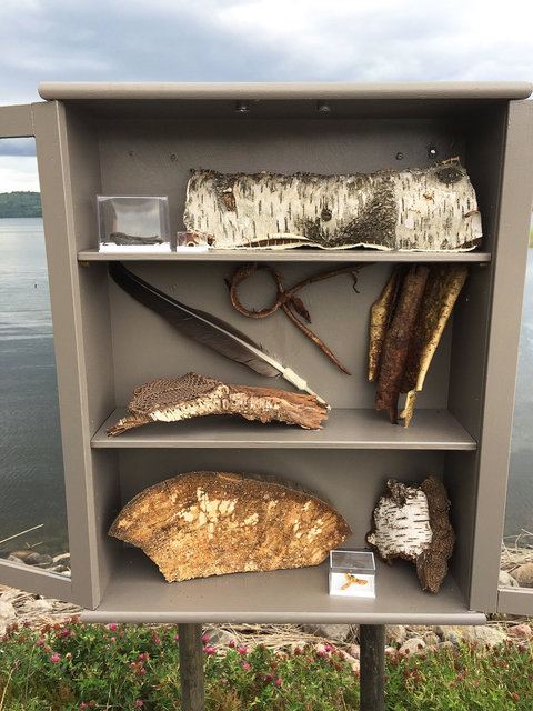 Cabinet of natural (Sjuhäradsrundan) memories