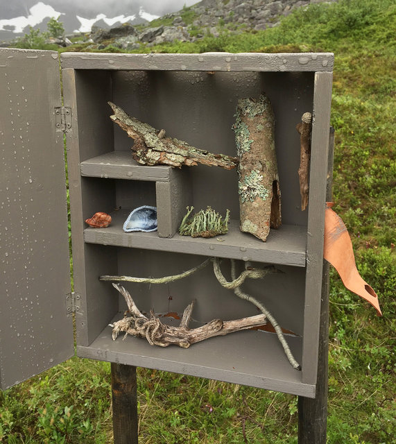 Cabinet of natural (Rauma) memories, 2017