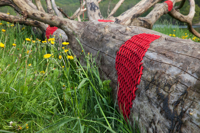 For the exhibition Gothenburg Green World mended dead tree with yarn. Mölndal, Sweden 2016.