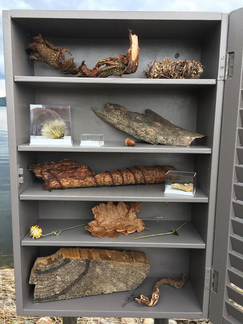 Cabinet of natural (Sjuhäradsrundan) memories