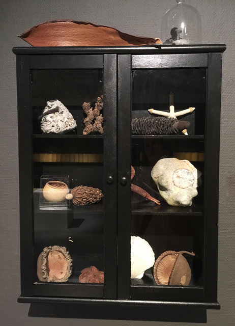 Cabinet of natural memories